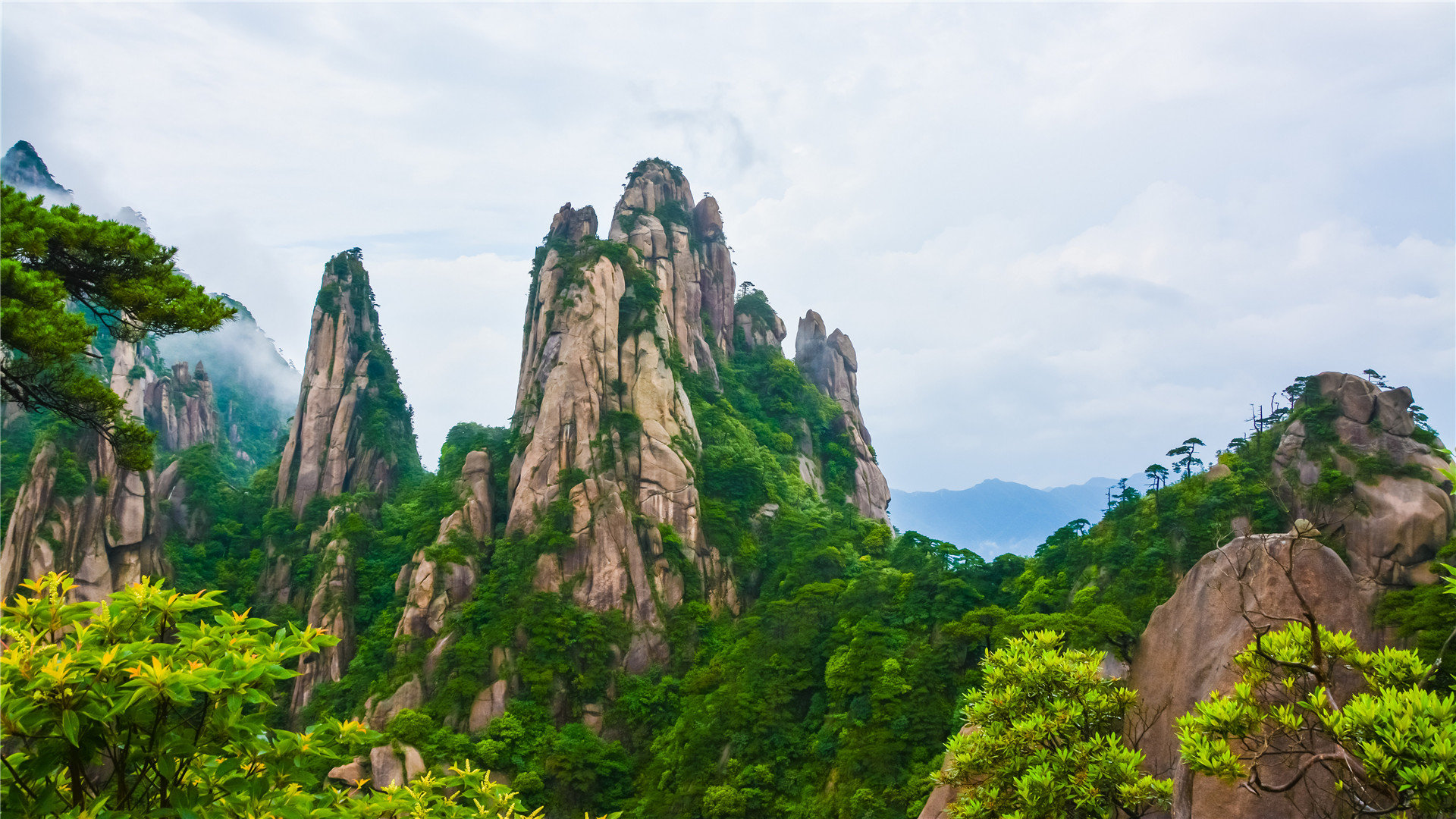 网红商城